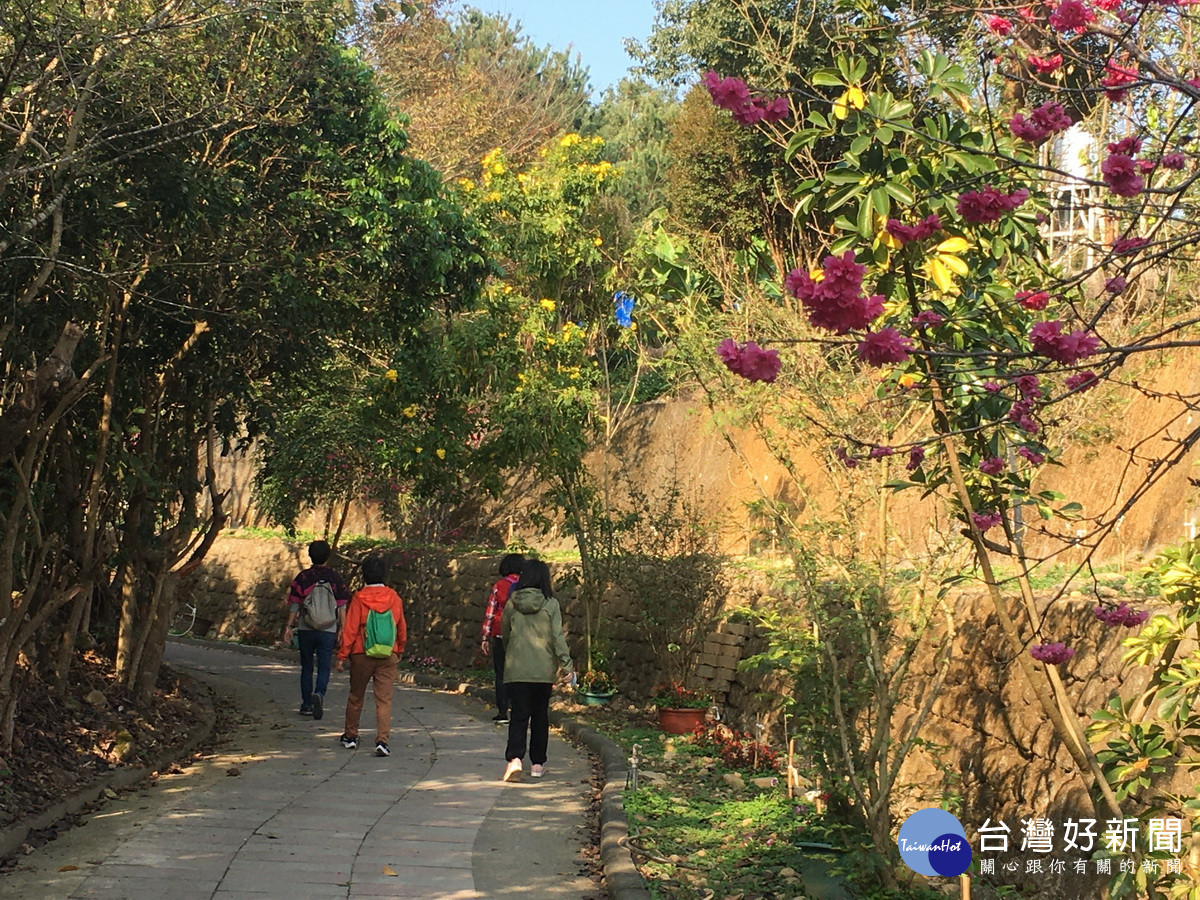 南投市撼龍步道花木扶疏花