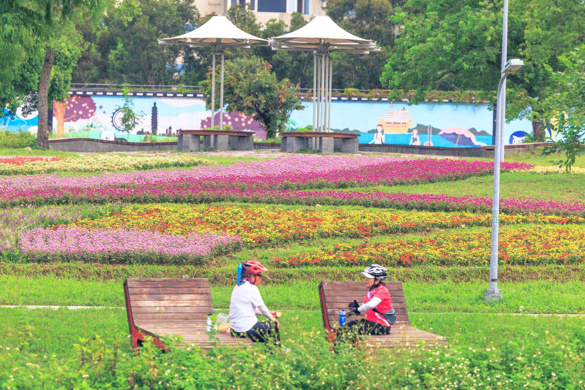 美堤河濱自然親水灣旁　花海美麗盛開（圖／台北市水利處提供）