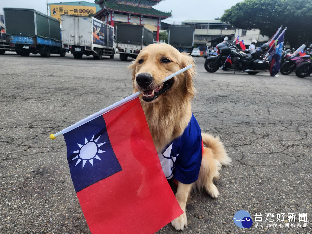 愛犬也穿上國旗裝哦。（民眾提供）