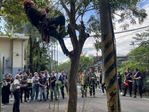 花蓮縣府辦樹木研習活動　精進各樹木管理者對樹木專業知識