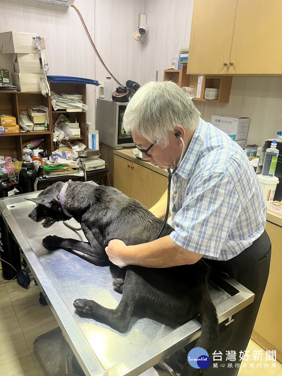 黑狗已送往獸醫院治療，目前生命跡象穩定。(動保處提供）