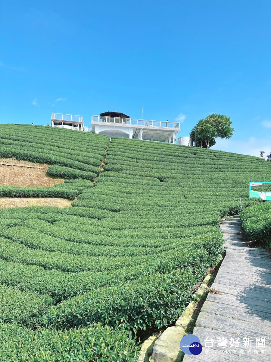 海鼠山1314觀景台可以飽覽田園風光