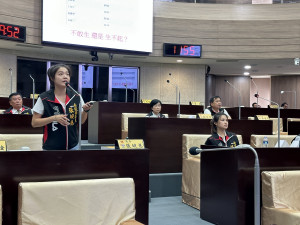 張婉慈、林友友議員擔心年輕人是不敢生還是生不起。（記者扶小萍攝）