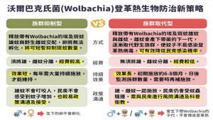 ▲在地化沃爾巴克氏菌（Wolbachia）取代型生物防治技術。