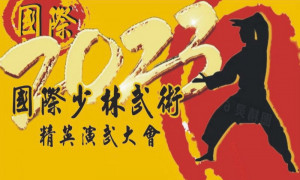 ▲2023國際「少林武術」精英演武會。