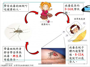 雲林縣11/13增6例，登革熱確診累計671例／翻攝照片