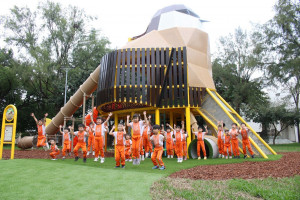 鳥視野玩屏東　屏東公園共融遊戲場紅尾伯勞主題吸睛