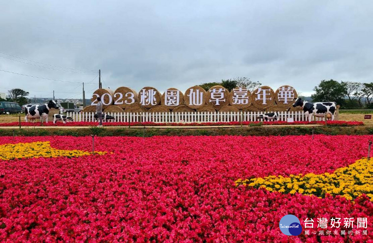 桃園仙草嘉年華公所主題日活動－紫色派對。<br /><br />
