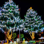 2023山谷燈光節將梨山賓館前兩棵高28公尺的雪松，打造為全台海拔最高的聖誕樹。