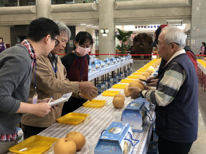 雪梨果品外觀評鑑