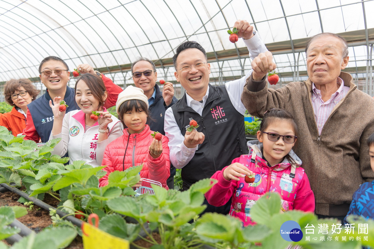 桃園市副市長蘇賓出席首屆中壢創新草莓產業文化季。