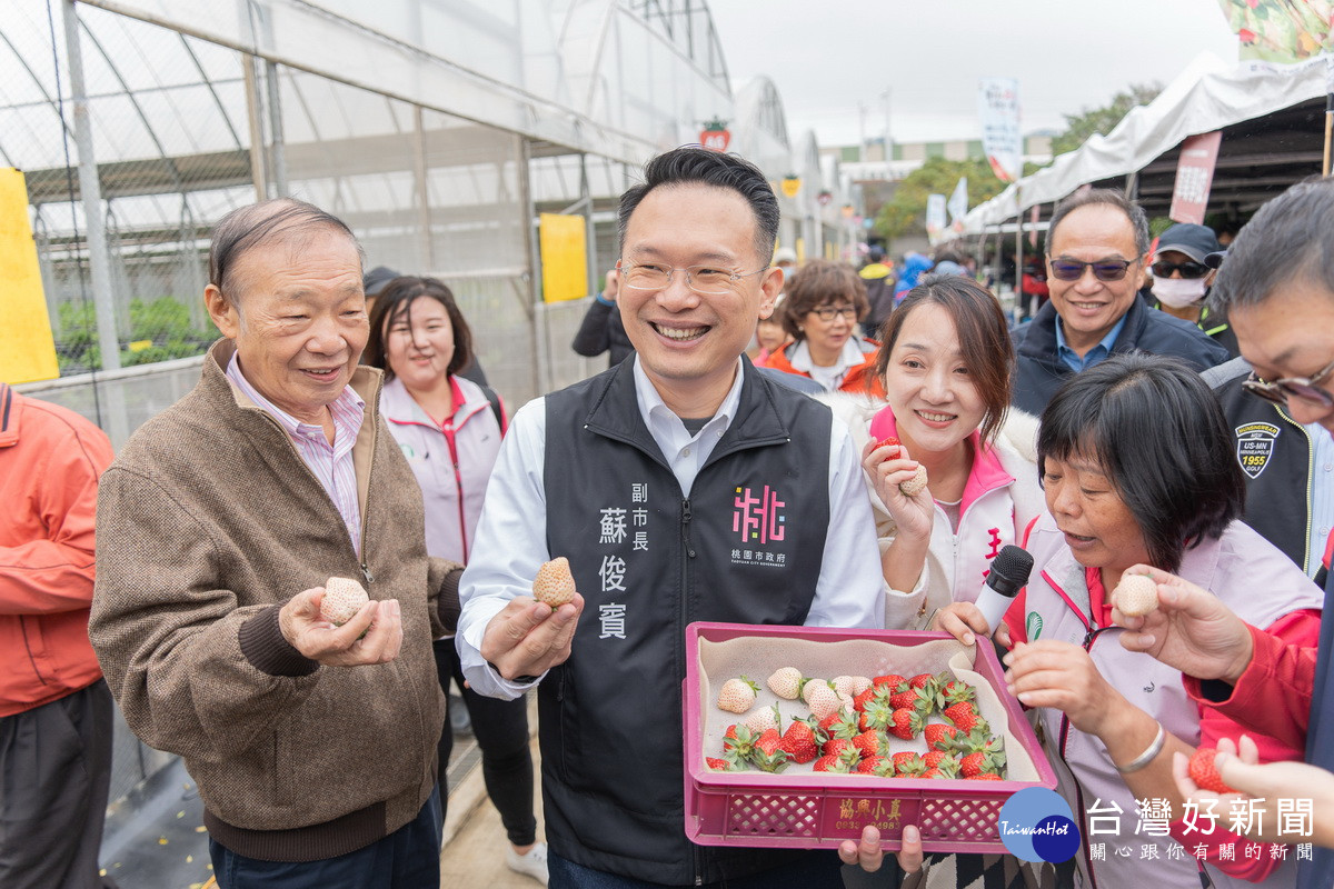 桃園市副市長蘇賓出席首屆中壢創新草莓產業文化季。