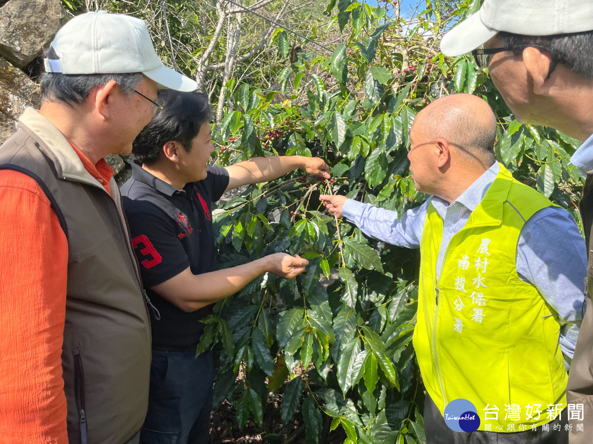 古峰莊園產銷履歷咖啡樹獲企業認養
