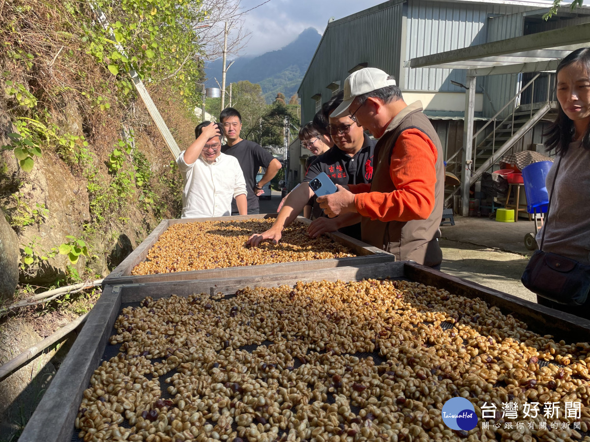 體驗咖啡豆製作過程