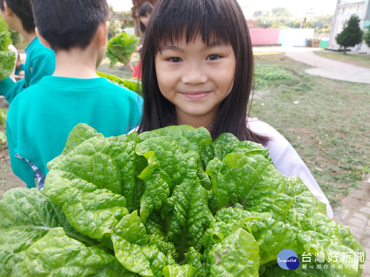 第一次採收自己種植的蔬菜學生喜悅表情掛在臉上。圖／記者鄧富珍攝