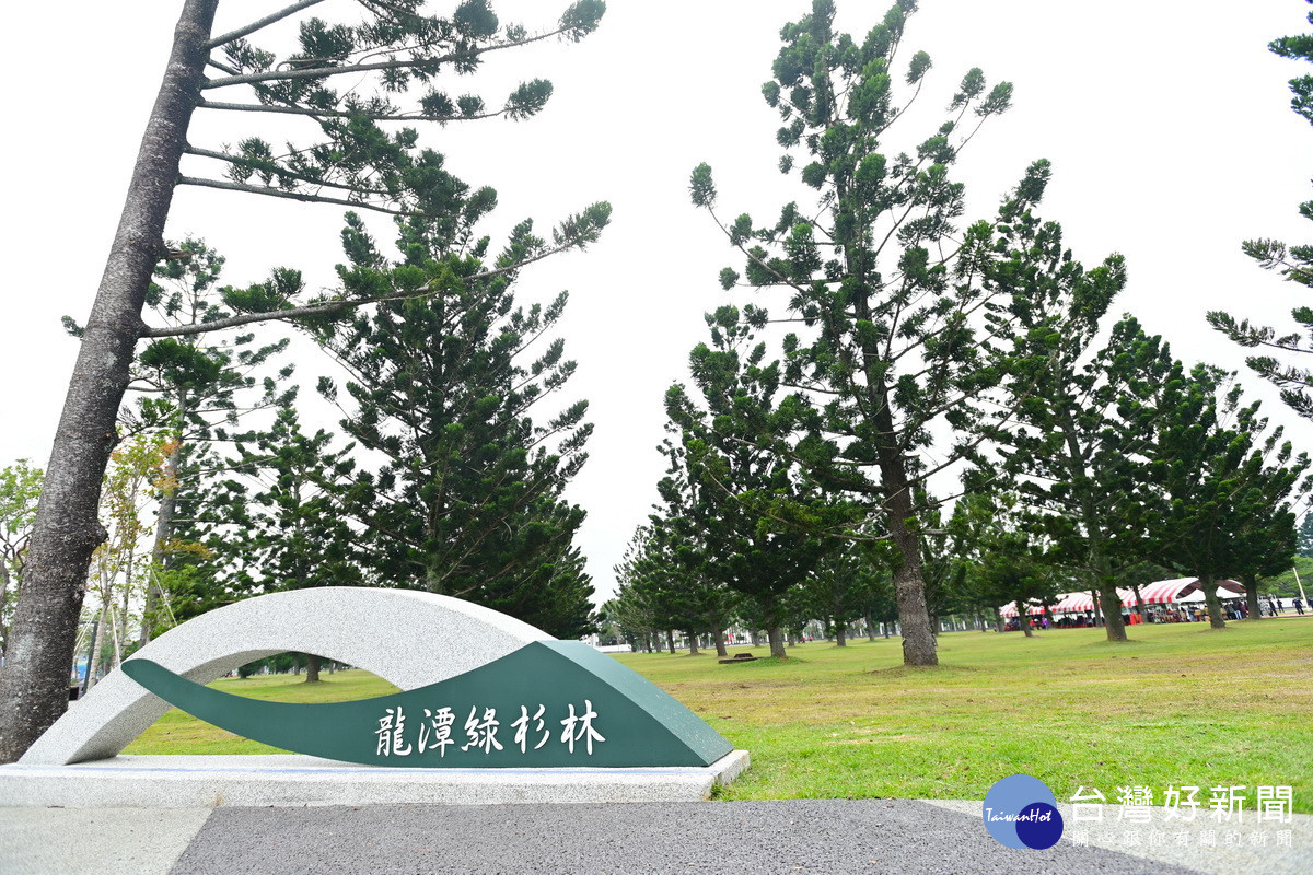 桃園市龍潭區綠杉林公園。