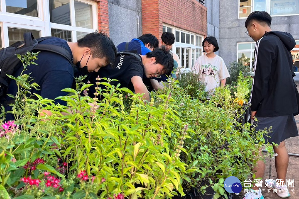 中華大學由環保局補助，在校園種植多項植栽設置綠屋頂，植栽量體面積約15平方公尺。