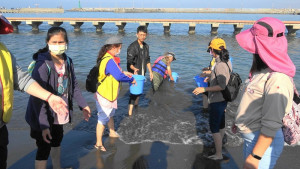 ▲高市水產動物海域放流，明年起需由符合規定權責人員執行。