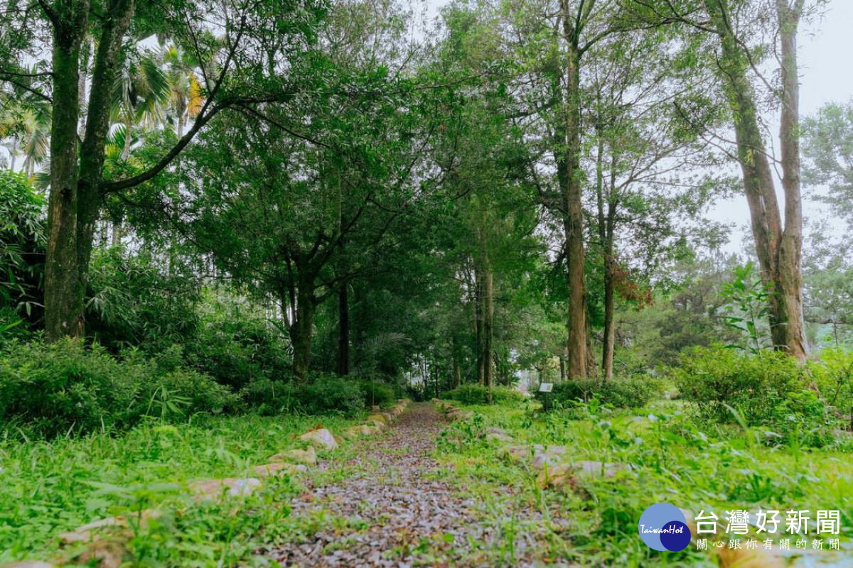 友善步道（圖/農村水保署南投分署提供）