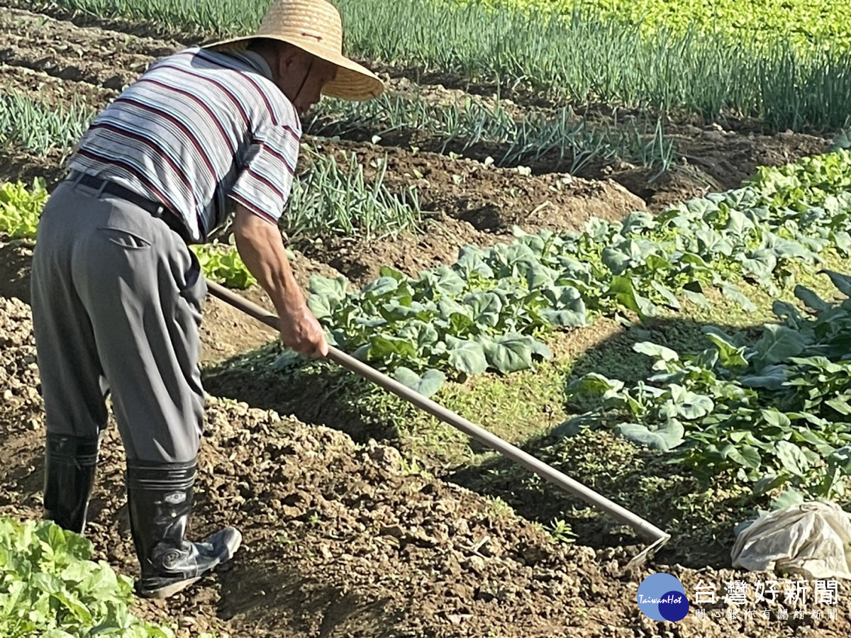 爭取老農津貼，林思銘主張逐步提高到1萬2。