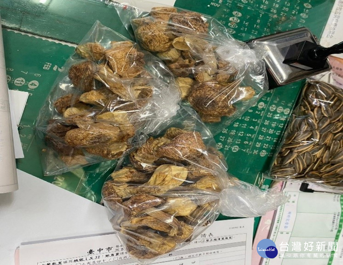 食安處稽查人員抽驗巴西蘑菇