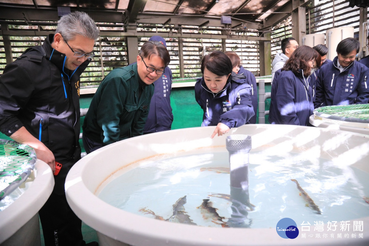 台灣櫻花鉤吻鮭的數量從84年的200餘尾回升到111年的1萬5,000尾，創歷史新高。