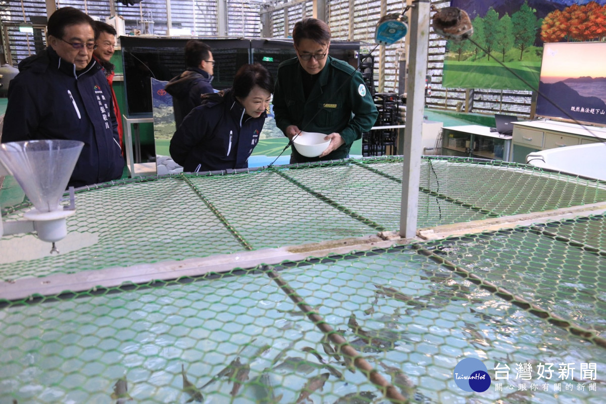 台灣櫻花鉤吻鮭的數量從84年的200餘尾回升到111年的1萬5,000尾，創歷史新高。