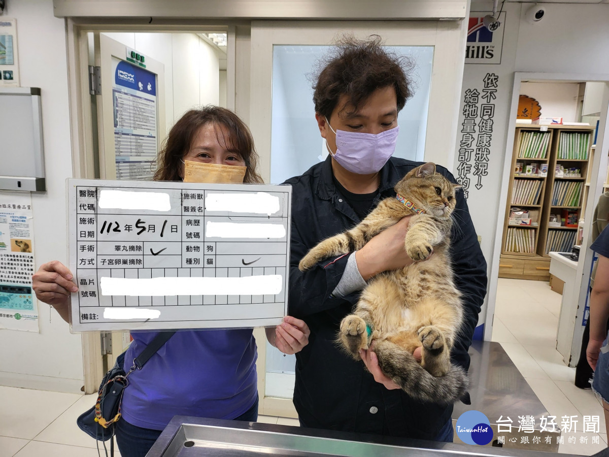 新北家犬貓及流浪犬貓絕育補助 開放網站申請 - 理財周刊