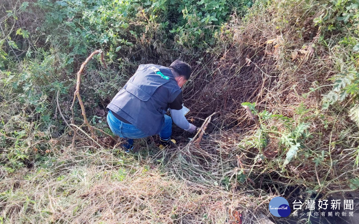 科慕觀音廠管線破裂造成大堀溪死魚，環保局立即告發並要求妥善清理。<br />
