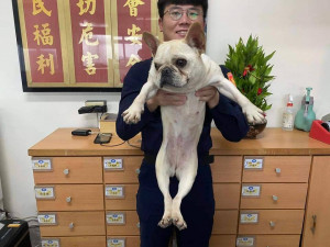 法國鬥牛犬在路邊徘徊，身為民防人員的蔡年發協助值班員警尋找失主／林詩涵翻攝