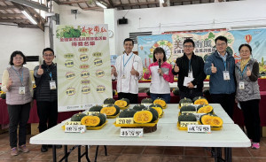 栗南瓜品質評鑑聘專業人士來評比。（草屯鎮農會提供）