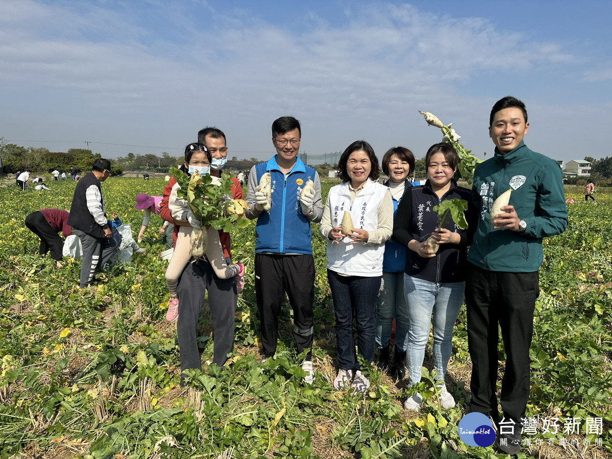 市公所辦拔蘿葡，代表會主席與代表也來參與。（記者扶小萍攝）