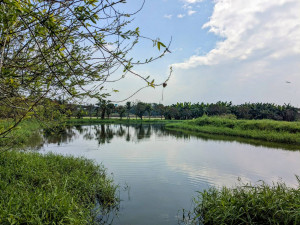 生態保育新里程碑　屏東萬年濕地群申請「重要濕地」獲內政部肯定
