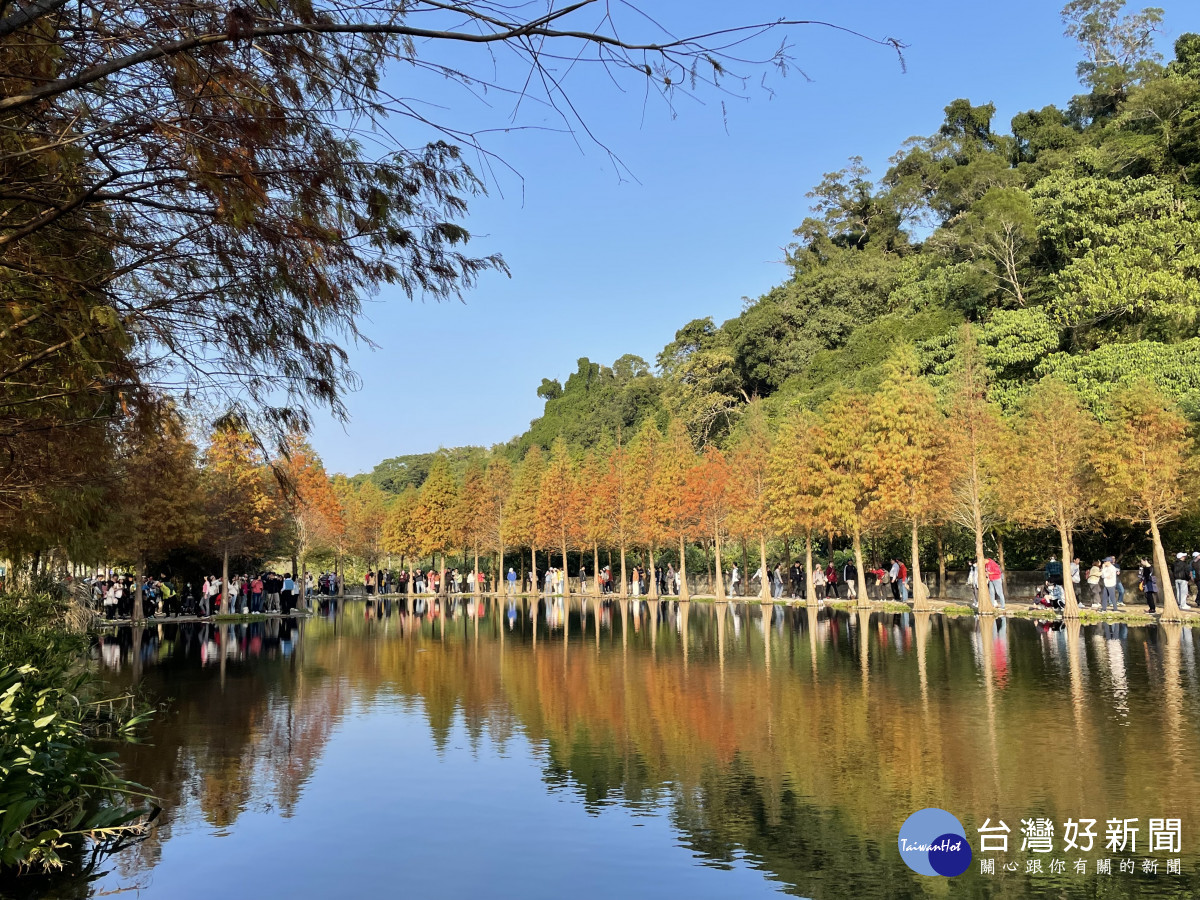 桃園春節好去處    春光明媚 新春賞花祈福好運來（月眉人工濕地生態公園）