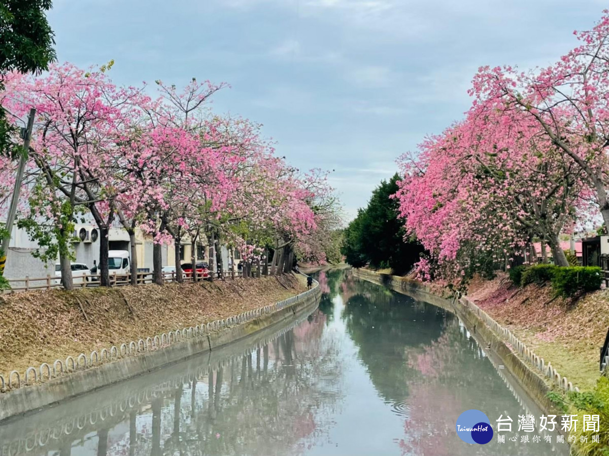 春遊花在彰化吃在北斗　品嘗寶斗肉圓、道地傳統古早味 採買知名拌手禮