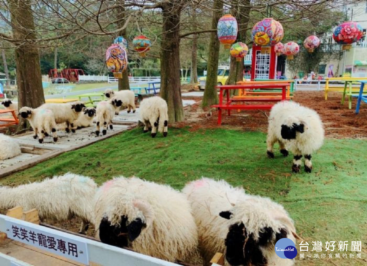 桃市府彙整適合春假旅遊的農遊體驗遊程，歡迎民眾龍來一趟舒緩身心的農村療育體驗之旅吧!<br />
