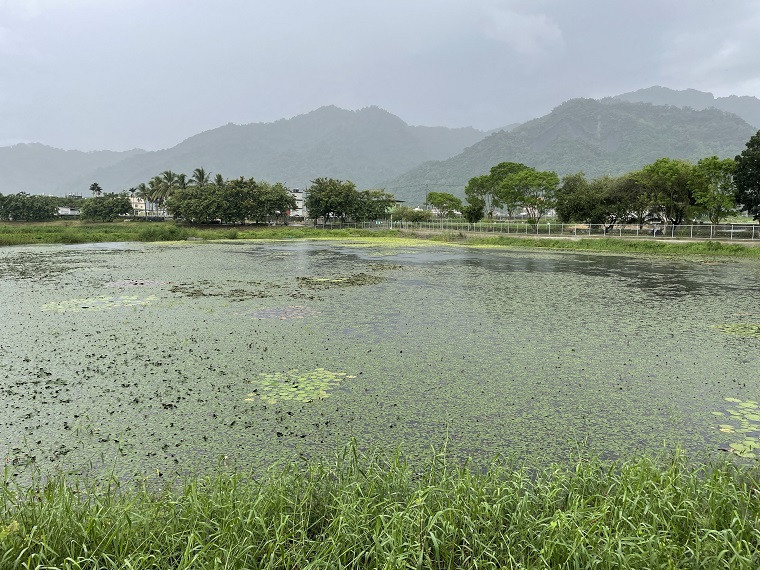 高雄市美濃湖（圖／水利署提供）