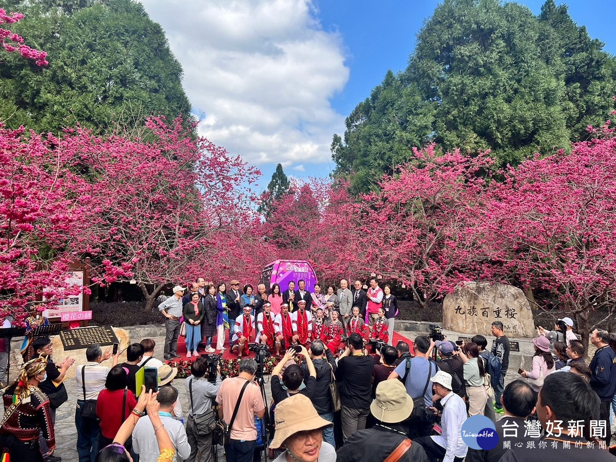 台日櫻花文化交流的儀式在九族文化村觀山樓舉行，見證台日櫻花交流「櫻花の絆」的真情與歷史時刻，並祈願台日友誼長存。