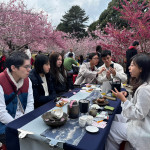 2024「櫻為幸福 封茶藏富品茗茶會」將於千櫻園舉行。