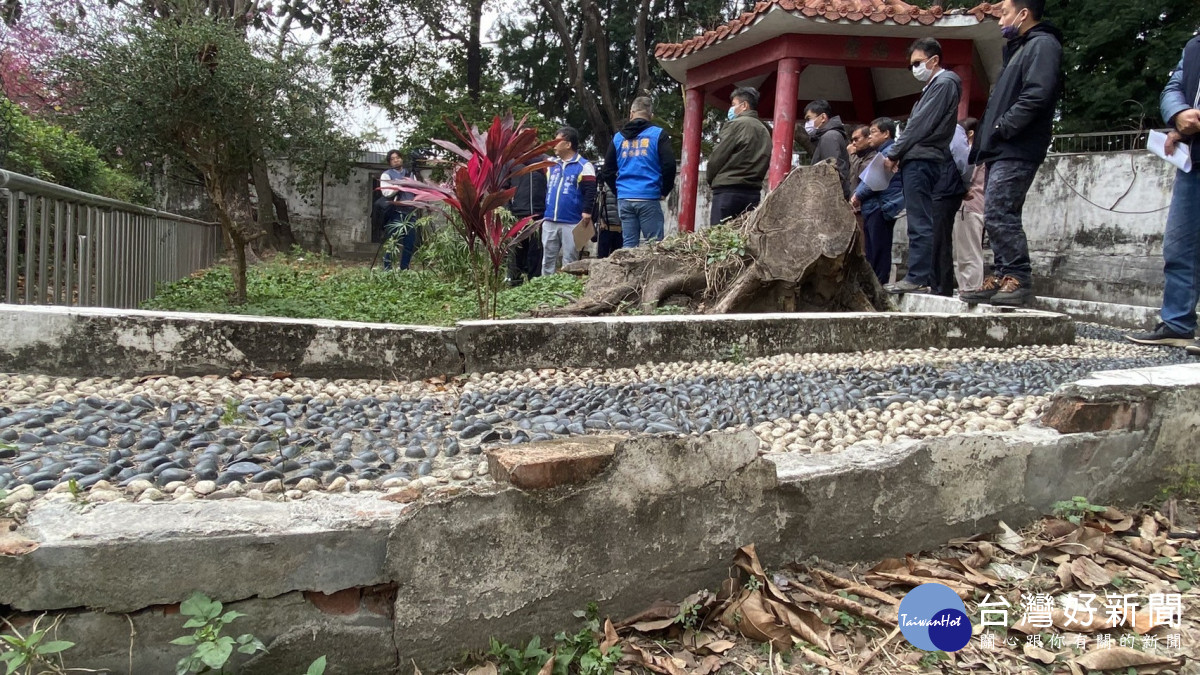 潭子丘逢甲公園遺留枯木樹頭，地面崎嶇不平，安全堪慮。