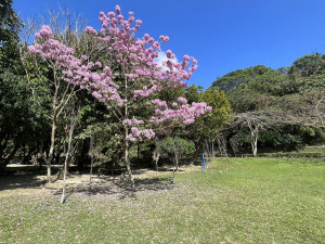 （圖／花蓮縣府提供）