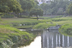 ▲檨仔林埤公園整頓有成轉型優質公園，成為高雄的都市之肺。