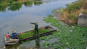 利用竹筏巡查清除布袋蓮，確保排水暢通。