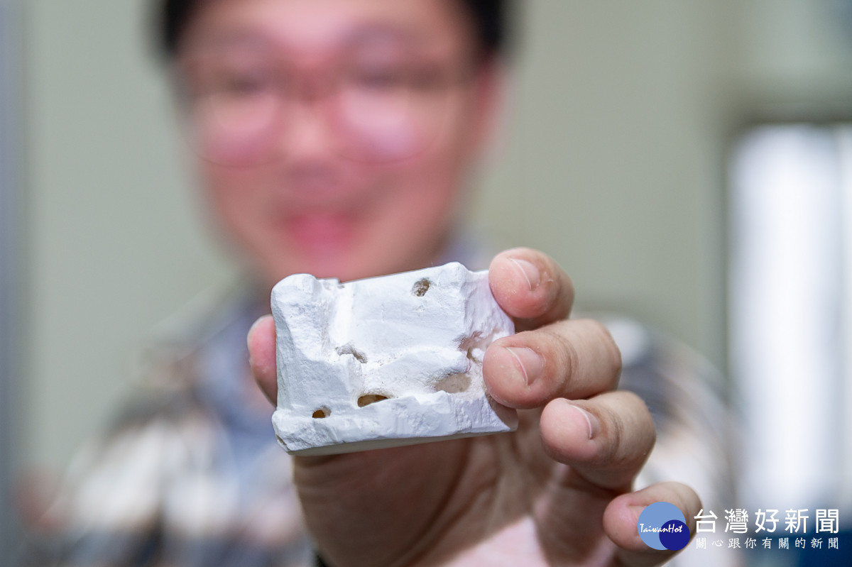 清華物理系博士生陳中皓用石膏製作可維持溼度的紅火蟻屋。