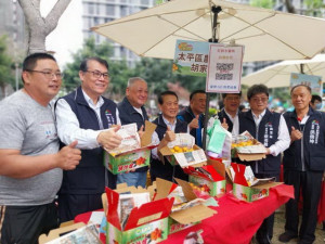 枇杷節派對。林重鎣