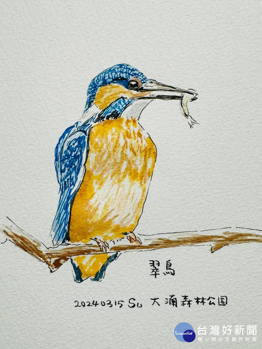 桃園市副市長蘇俊賓手繪的翠鳥。