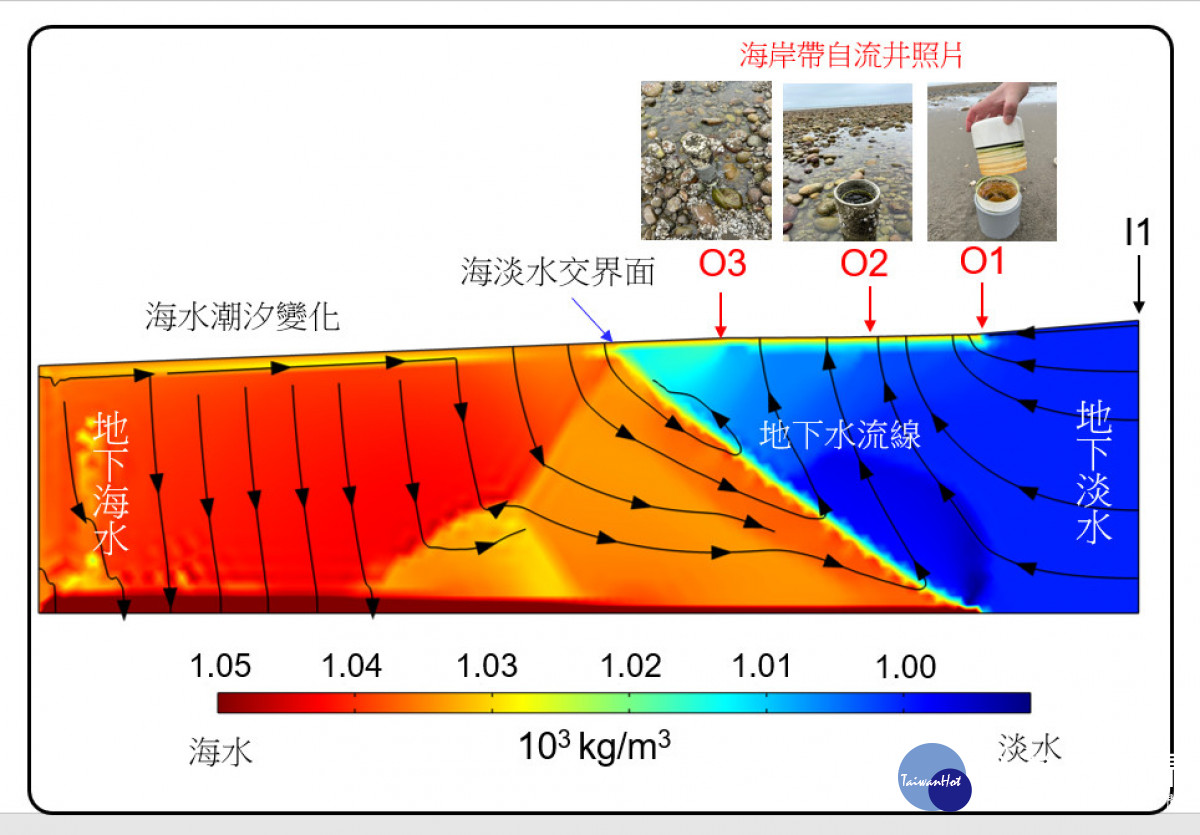 中央大學TaiCOAST潮間帶自流井(O1~O3)照片與位置；地下海水（左側）與地下淡水（右側）交互作用模擬結果。照片王士榮副教授提供