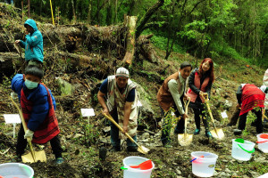 部落居民一起種下阿里山千金榆。