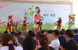 梅宴餐會上部落著名的舞蹈團體接力表演。（記者扶小萍攝）