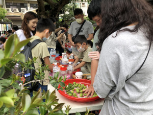 梅子酒作法那麼簡單，都想回家一試